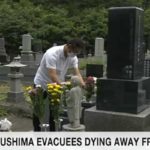 Many Fukushima evacuees die away from home